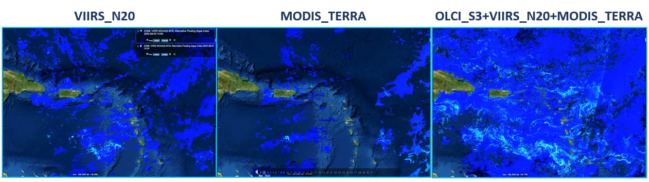 The image is a triptych of satellite images showing the same geographical area captured by different satellite sensors: VIIRS_N20, MODIS_TERRA, and a combined OLCI_S3+VIIRS_N20+MODIS_TERRA. These images are color-coded to highlight features such as the concentration of sargassum, a type of seaweed, in the ocean. Shades of light blue represent high concentrations of sargassum, which are especially prevalent in the combined OLCI_S3+VIIRS_N20+MODIS_TERRA image. Each panel is labeled with the name of the satell